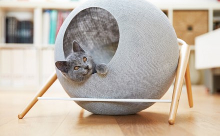 Furniture-for-cats_Meyou-Paris_dezeen_936_4